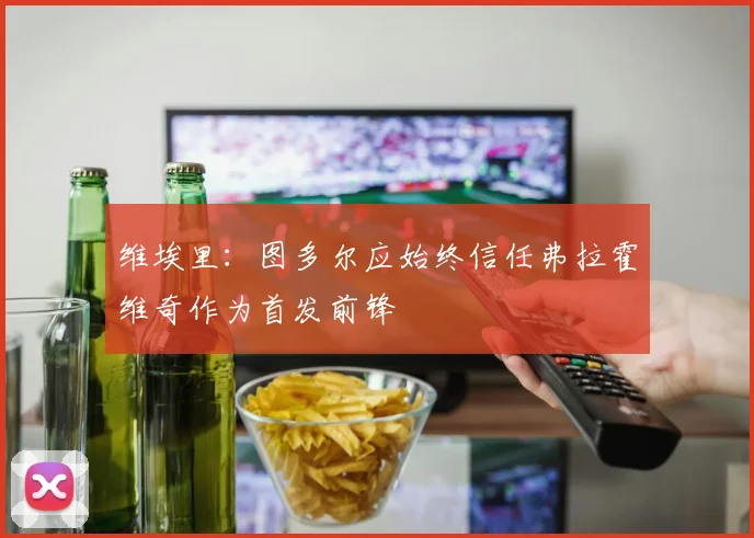 维埃里：图多尔应始终信任弗拉霍维奇作为首发前锋