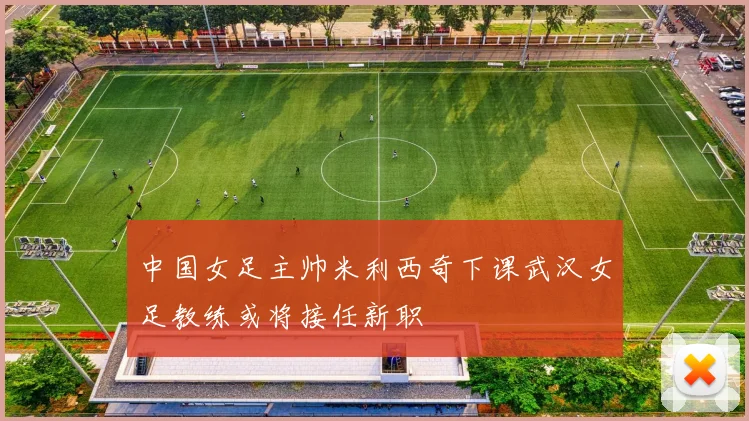 中国女足主帅米利西奇下课武汉女足教练或将接任新职