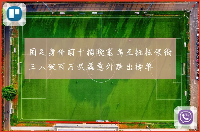 国足身价前十揭晓塞鸟王钰栋领衔三人破百万武磊意外跌出榜单